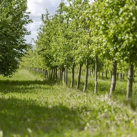 Au Domaine Sarge-les-le-Mans