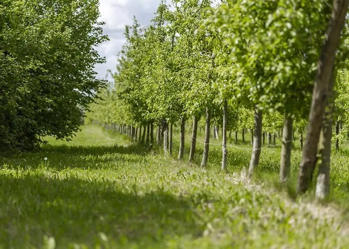 Au Domaine Sarge-les-le-Mans